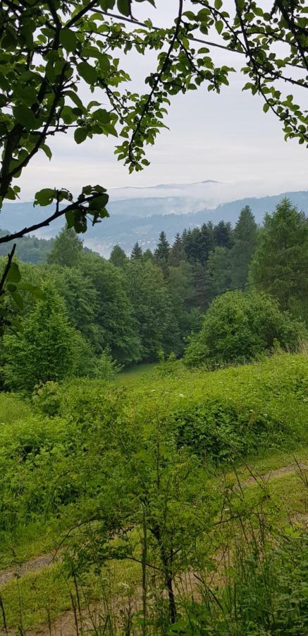 Domek Na Folwarku Tarnawa Dolna  Екстериор снимка